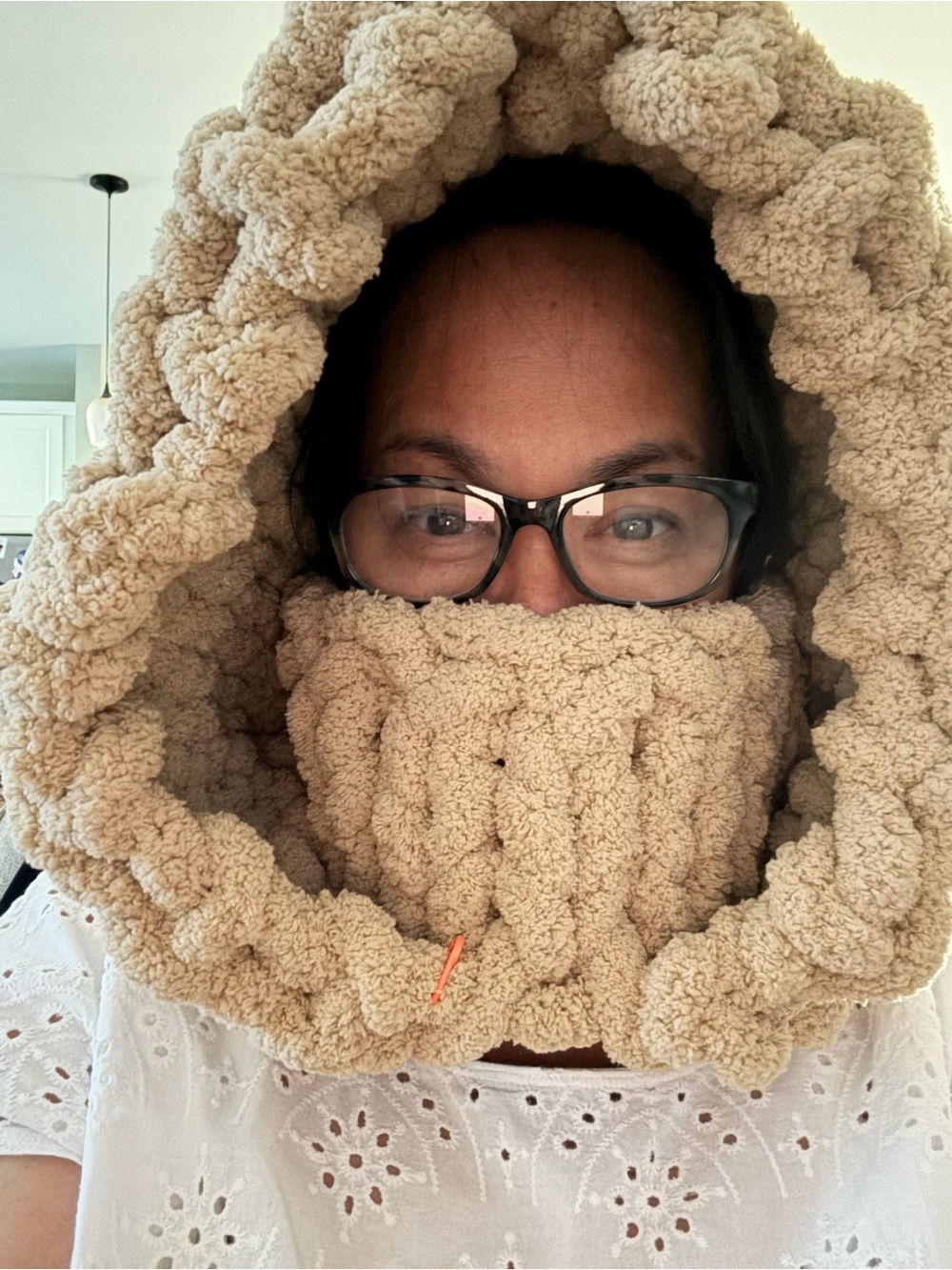 Cozy Plush Sherpa Hooded Cowl - Taupe